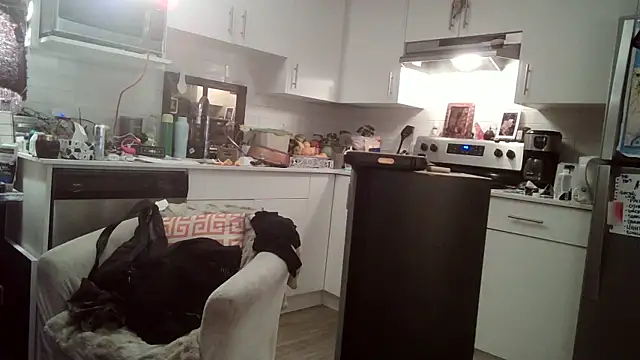 SilverandFox online show from 03/11/25, 11:44