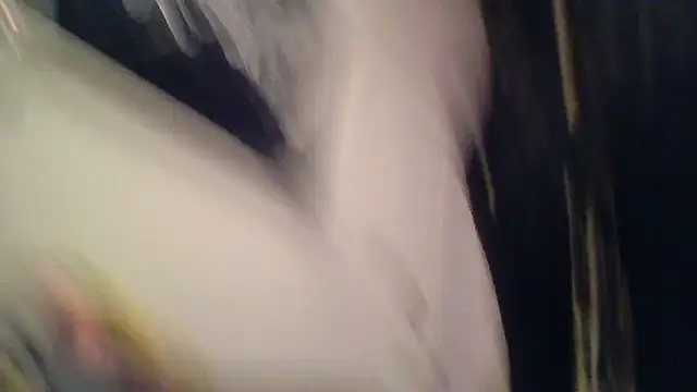 SilverandFox online show from 11/05/25, 09:31