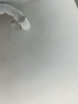 Snapshot of ekskekejejej chatting on 09/28/25, 02:55 ekskekejejej online show from 09/28/25, 02:55