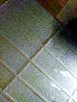 zaneporter46 online show from 02/04/25, 08:59