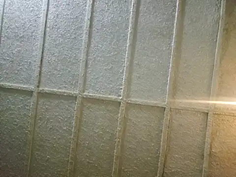 zaneporter46 online show from 02/08/25, 03:52