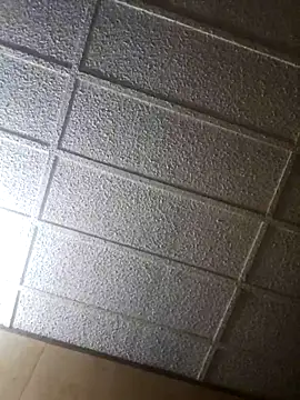 zaneporter46 online show from 02/17/25, 07:58