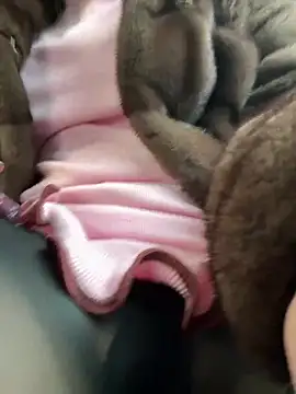 Snapshot of AndreaMood chatting on 02/01/25, 06:43 AndreaMood online show from 02/01/25, 06:43