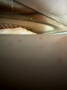 Snapshot of Panther1166 chatting on 11/21/25, 08:57 Panther1166 online show from 11/21/25, 08:57