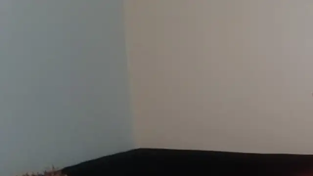 hairyncuteass online show from 02/13/25, 08:24