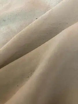 Snapshot of heitor25cmdepika chatting on 11/20/25, 02:28 heitor25cmdepika online show from 11/20/25, 02:28