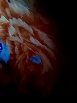 rameshjisex online show from 11/12/25, 01:17