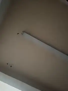 boyvergon online show from 01/17/25, 06:36