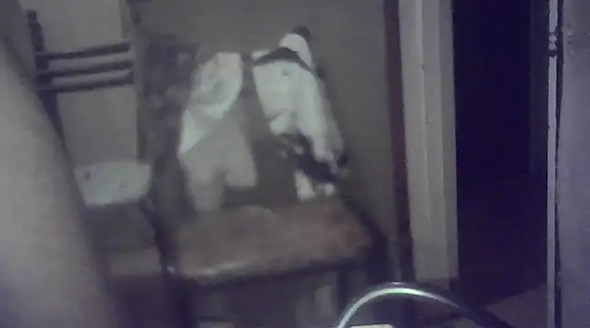 Snapshot of EstebanAkyLu chatting on 01/26/25, 07:53 EstebanAkyLu online show from 01/26/25, 07:53