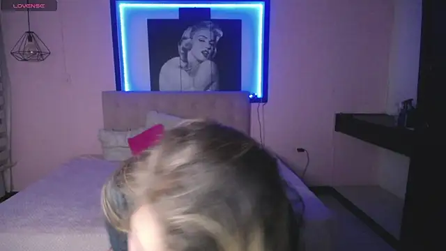 Kitten Cam online show from 11/14/25, 03:16