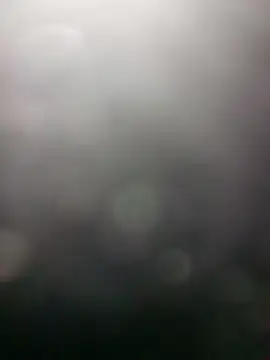 edubig23cm online show from 01/19/25, 08:39