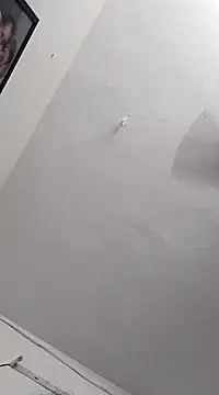 Tamil Aathira online show from 03/04/25, 05:24