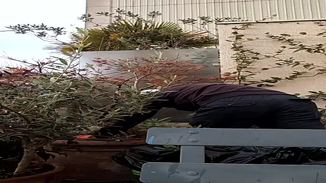 Snapshot of Vyda4 chatting on 11/17/25, 08:31 Vyda4 online show from 11/17/25, 08:31