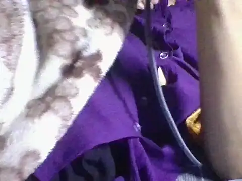 Snapshot of AKANSHA_7 chatting on 11/01/25, 04:53 AKANSHA 7 online show from 11/01/25, 04:53