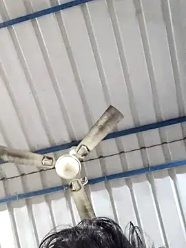 birds0641 online show from 02/25/25, 05:52