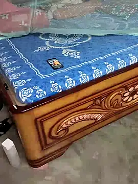 birds0641 online show from 10/08/25, 08:06