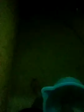 Night View online show from 11/14/25, 05:33