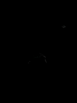 Codybugs0206 online show from 11/22/25, 11:59