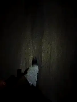 dominationmybigdick online show from 10/27/25, 09:30