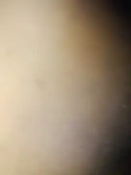 Crowlers online show from 03/16/25, 12:01