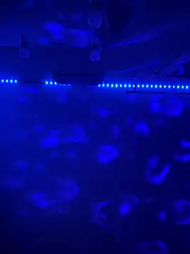 Snapshot of BBSTRING chatting on 11/15/25, 06:59 BBSTRING online show from 11/15/25, 06:59