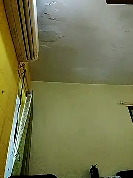 Snapshot of crazyfreaking chatting on 02/17/25, 07:26 crazyfreaking online show from 02/17/25, 07:26