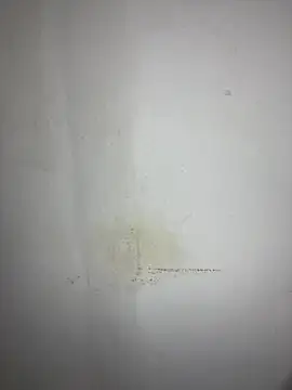 Hamza-Maroki online show from 10/03/25, 08:28