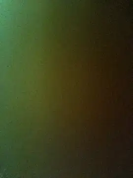 Snapshot of PPP-30 chatting on 02/20/25, 01:40 PPP-30 online show from 02/20/25, 01:40