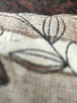 Snapshot of cocktony chatting on 03/02/25, 09:21 cocktony online show from 03/02/25, 09:21