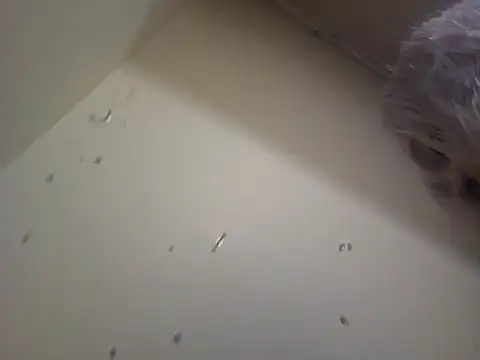 Louna45dv online show from 02/18/25, 08:14