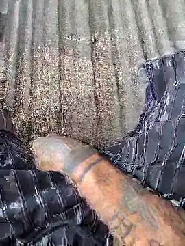 Snapshot of vertin07 chatting on 11/14/25, 05:33 vertin07 online show from 11/14/25, 05:33