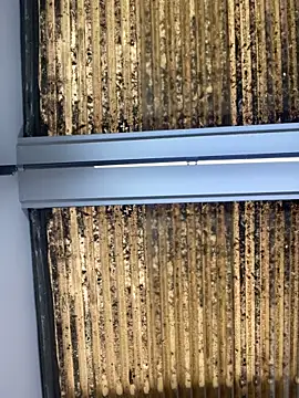 Madisson-Rivas online show from 10/14/25, 07:14