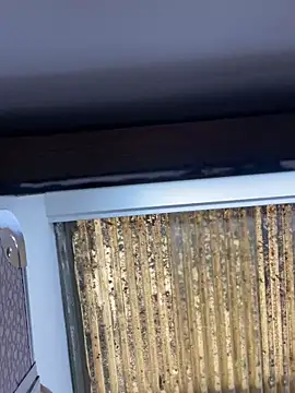 Madisson-Rivas online show from 11/13/25, 06:07