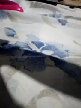 Sandra42 online show from 11/14/25, 09:52