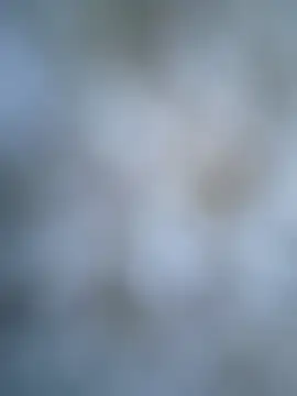 coolbrady17 online show from 03/06/25, 10:52