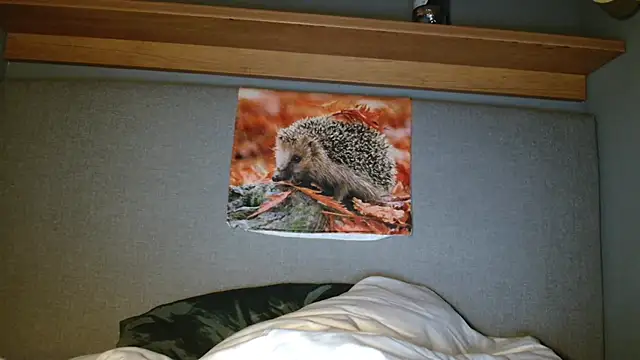 Saysay-7 online show from 10/05/25, 05:33