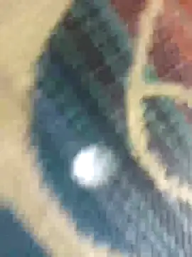 Sexy-nandani-baby online show from 10/12/25, 05:28