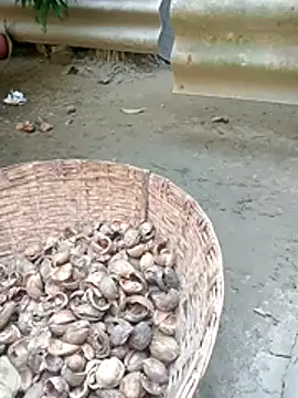 Sexy-nandani-baby online show from 11/22/25, 06:56