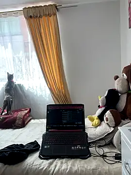 Snapshot of VictoriaGerard_Pink chatting on 11/07/25, 04:40 VictoriaGerard Pink online show from 11/07/25, 04:40