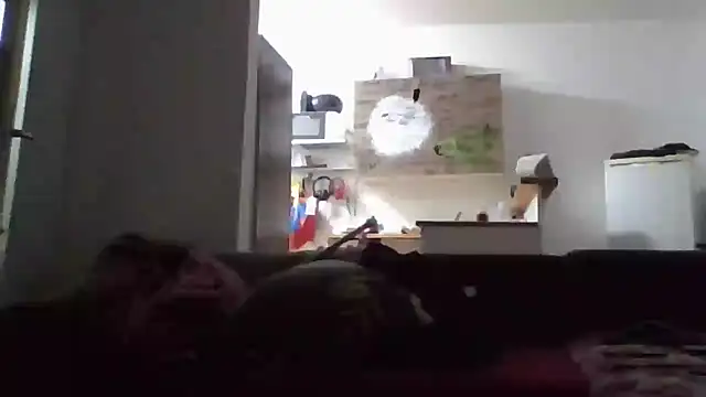 ThePython666 online show from 11/17/25, 05:08