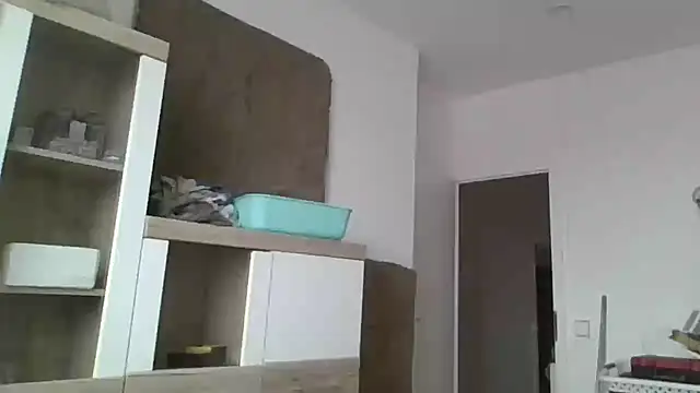 ThePython666 online show from 11/24/25, 09:20