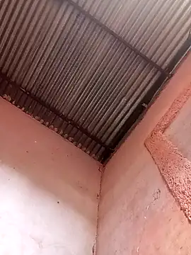 317894 online show from 11/21/25, 01:54