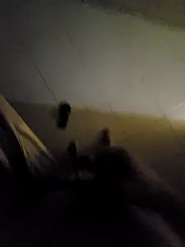 beto juby777 online show from 11/04/25, 10:42