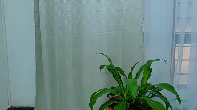 EbonyHorrny online show from 09/15/25, 12:16