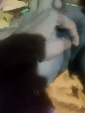 Snapshot of sshrichandra chatting on 11/13/25, 08:08 sshrichandra online show from 11/13/25, 08:08