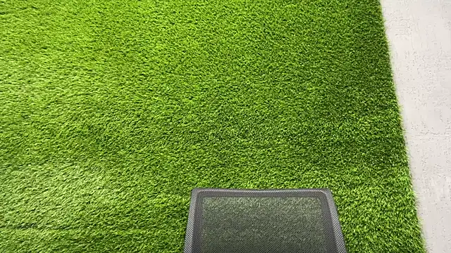 Snapshot of AshlyJoy chatting on 11/08/25, 07:19 AshlyJoy online show from 11/08/25, 07:19