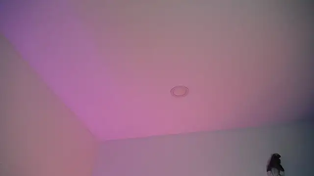 Snapshot of Stepha_babe chatting on 09/08/25, 10:53 Stepha babe online show from 09/08/25, 10:53