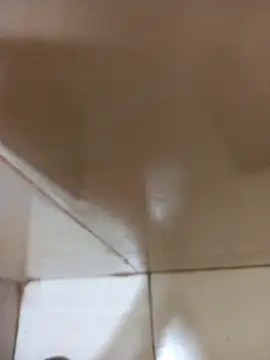 Snapshot of vboli08 chatting on 10/24/25, 11:12 vboli08 online show from 10/24/25, 11:12