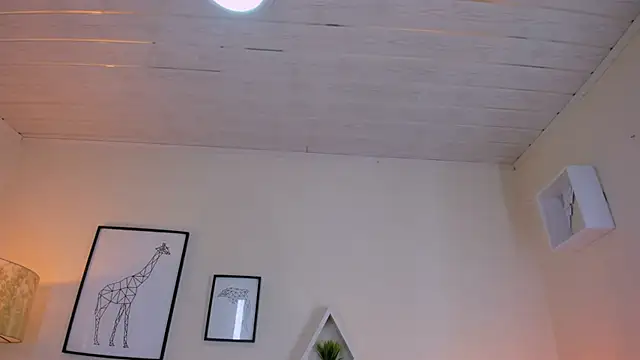 LusyKitty online show from 11/25/25, 03:12