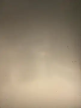 sasatimido online show from 10/14/25, 03:13